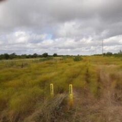 midland tx row land clearing