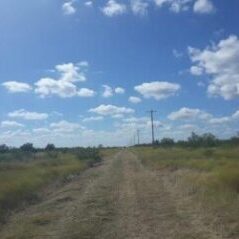 row land clearing in midland tx